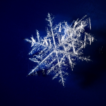 Snowflakes on dark blue background Snowflakes on dark blue background